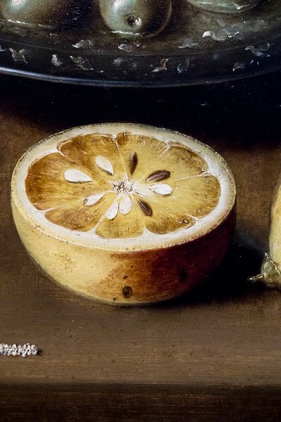 Zátiší s ústřicemi a pečivem od Osias the Elder Beert