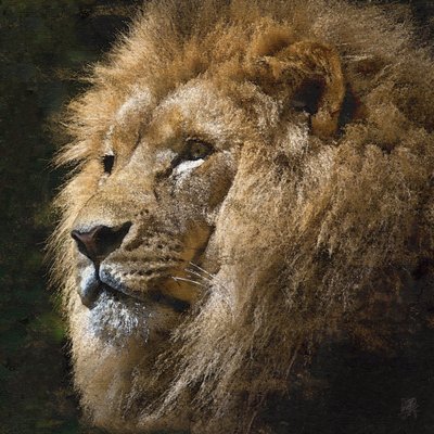 Majestátní zlatý lev od Osvaldo Russo