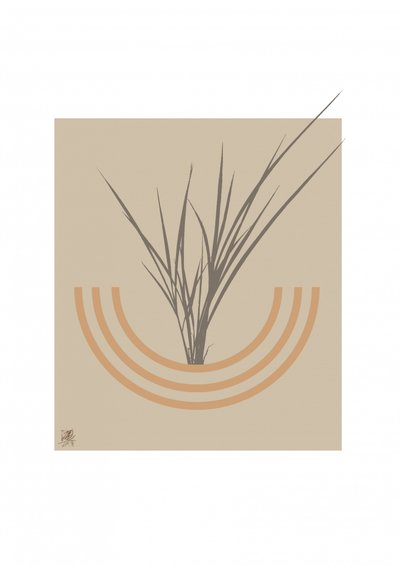 Minimalistický botanický oblouk od Osvaldo Russo