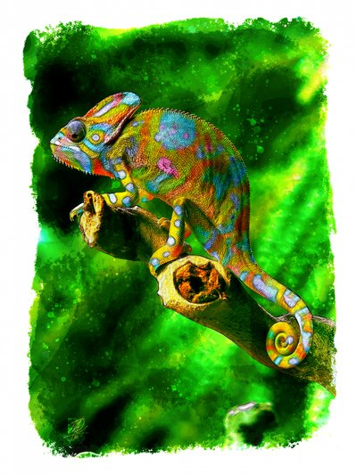 Živý chameleon z džungle od Osvaldo Russo