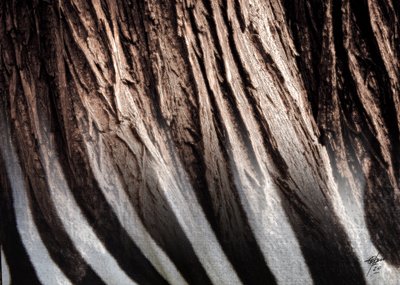 Textura v pruhy od Osvaldo Russo
