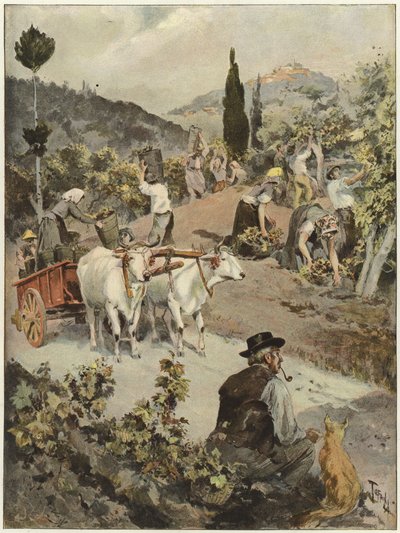Vintage sezóna v Itálii od Oswaldo Tofani