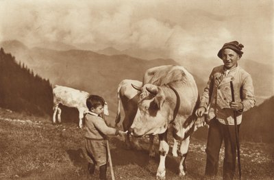 Na Alpách od Otto Ballerstedt