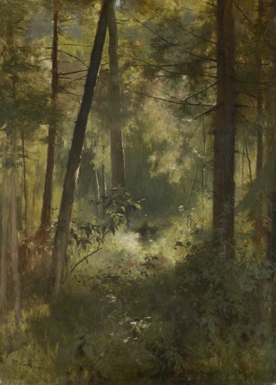Waldinneres od Otto Gebler