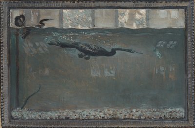 Potápěčský kormorán, 1900. od Otto H. Bacher