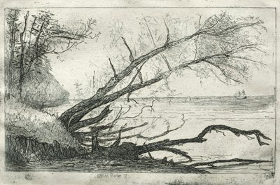 Old Sycamore, 1877. od Otto H. Bacher