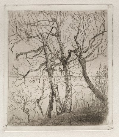 Woods by the Lake, 1878. od Otto H. Bacher