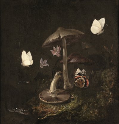 "Sotto bosco" s houbami, motýly, vážkou, hadem a ještěrkou (olej na plátně) od Otto Marseus van Schrieck