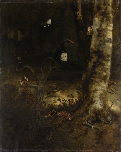 Lesní patro s hadem, ještěrkami, motýly a dalším hmyzem od Otto Marseus  van Schrieck