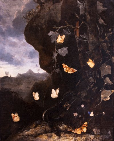 Hadi, ropuchy a motýli od Otto Marseus van Schrieck