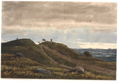 Krajina s písečnou cestou vedoucí přes vřesový kopec. Vpravo pohled na rozlehlé pozemky s rašeliništi. Z oblasti Raageleje? od P.C. Skovgaard