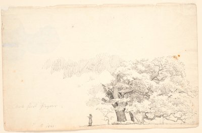 Velké duby, t.v. čtoucího muže. od P.C. Skovgaard