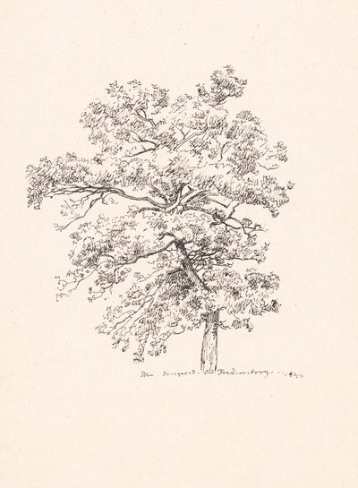 Dřevo ve Fredensborgu od P.C. Skovgaard