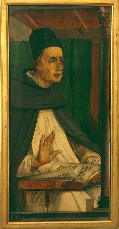 Albert Veliký (olej na plátně) od P. (c.1450 1504) Joos van Gent and Berruguete