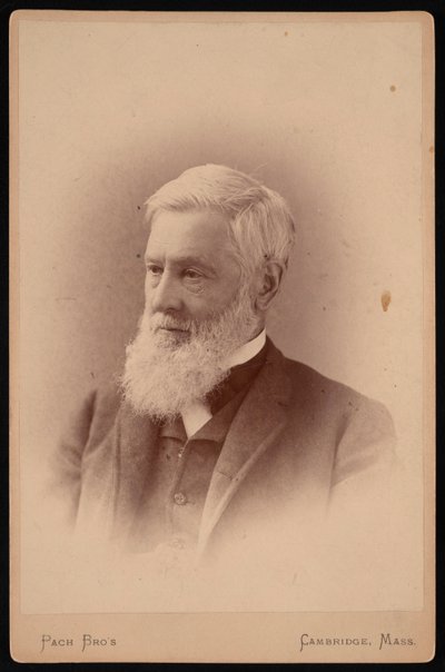 Portrét Asy Graye 1810-1888, březen 1887. od Pach Bros