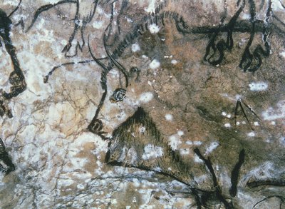 Zraněný býk, skalní malba, magdalénien (jeskynní malba) od Paleolithic Paleolithic
