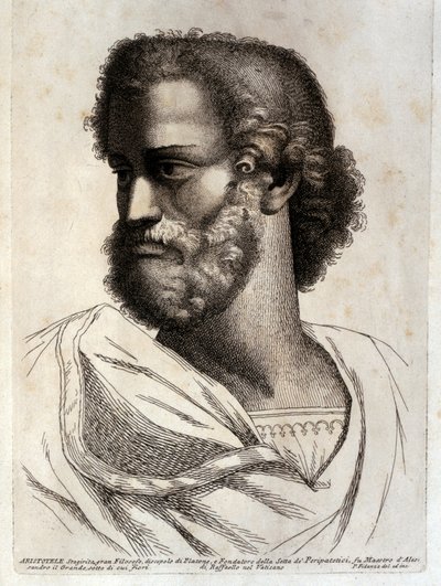 ARISTOTLE od Paolo Fidanza
