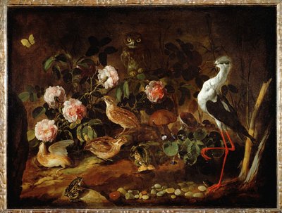 Zátiší se sovou a ibisem - Nature morte avec une chouette et un ibis ... od Paolo Porpora