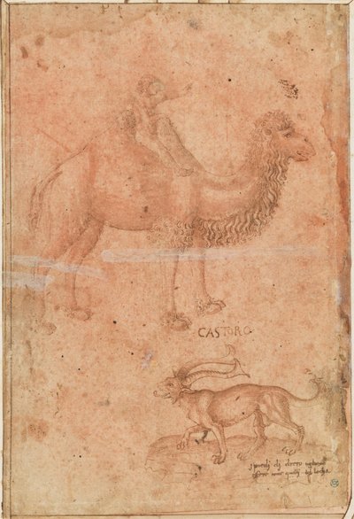 Velbloud s jedoucím dítětem. Dole bájné zvíře (Castoro) od Paolo Uccello