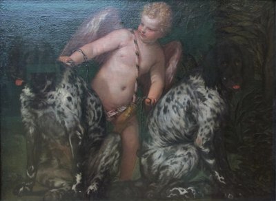  od Paolo Veronese