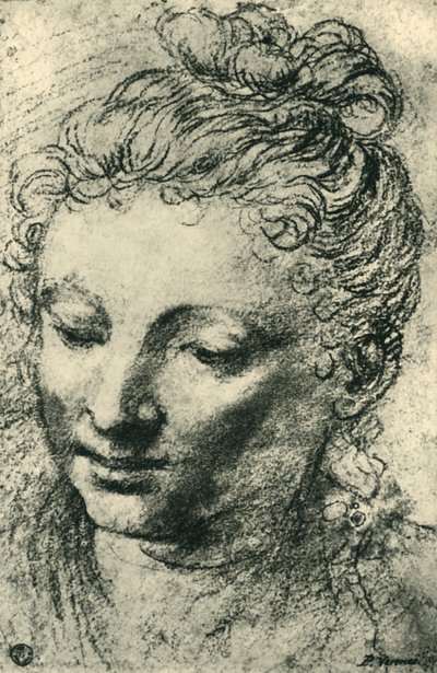 Hlava ženy dívající se dolů, polovina 16. století, 1943. od Paolo Veronese