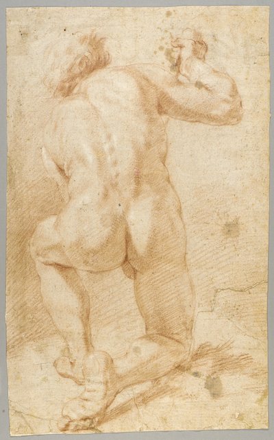 Kreslení od Paolo de Matteis