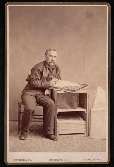 Portrét Freda Mathera 1833-1900, před rokem 1887. od Parker and Co