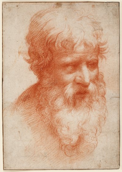 Hlava vousatého muže, dívá se vpravo, kolem 1523-25 (červená křída na papíře) od Parmigianino (1503 40)