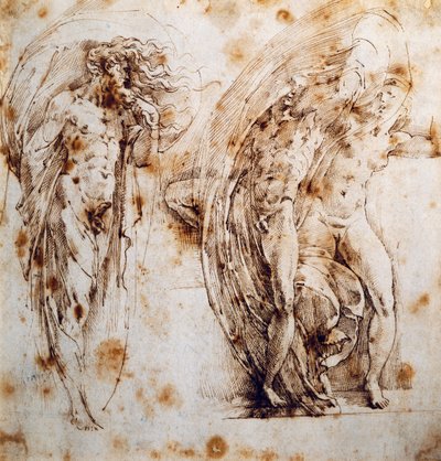 Vulkánská pomsta od Parmigianino