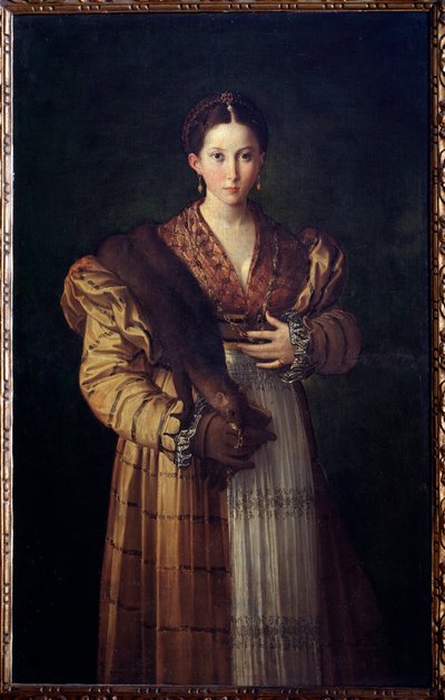 Antea Představení manželky Sthenebee krále Proeta, zamiluje se do Bellerophona (Portrét Stheneboea nebo Stheneboia, choť Protea) - Obraz Girolamo Francesco Maria Mazzola dit Parmigianino neboli Parmezán (1503-1540) 153530-153530 od Parmigianino