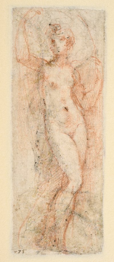 Ženská postava - studie pro Steccatu (verso) od Parmigianino