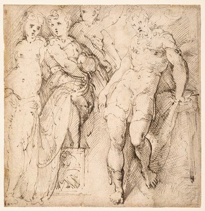 Čtyřfigurové studie (recto) od Parmigianino