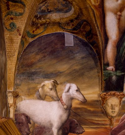 Skupina psů z mýtu o Dianě a Actaeonu od Parmigianino