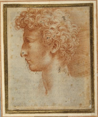 Profil mladého muže (červená křída na bílém papíře) od Parmigianino