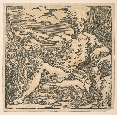 Svatý Jan Křtitel na poušti od Parmigianino