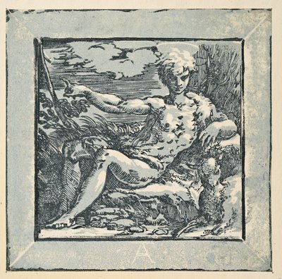 Svatý Jan Křtitel na poušti od Parmigianino