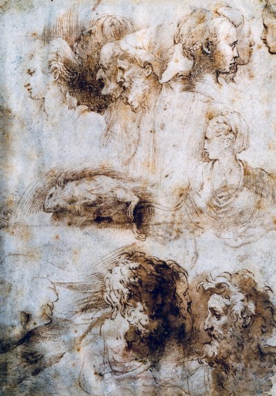 Studie pro mrtvou myš, mužské a ženské profily od Parmigianino