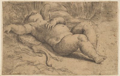 Amor Spící, 16. století. od Parmigianino