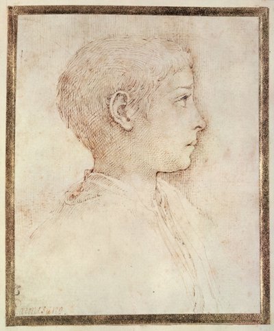 Hlava chlapce od Parmigianino