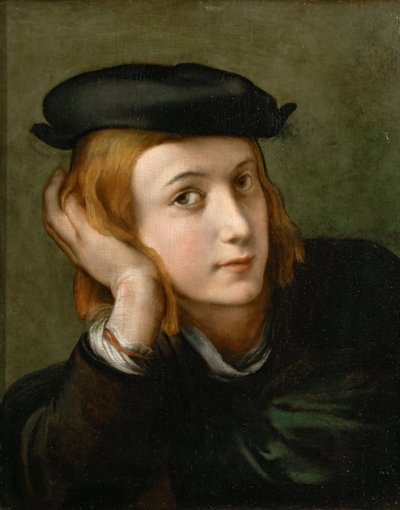 Portrét chlapce, cca 1524. od Parmigianino