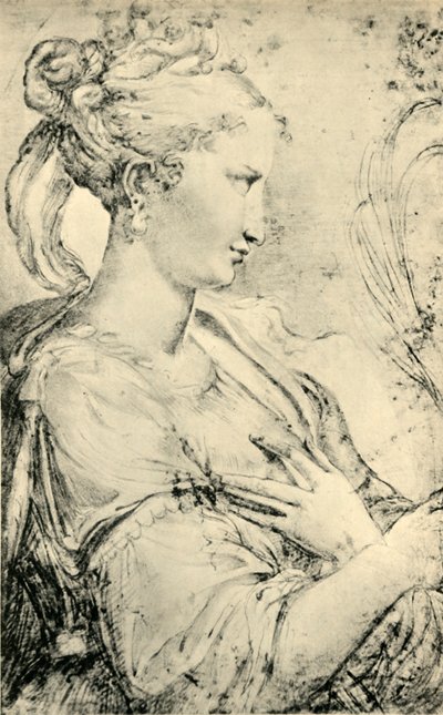 Studie o svaté Kateřině, c1530-1540, 1943. od Parmigianino