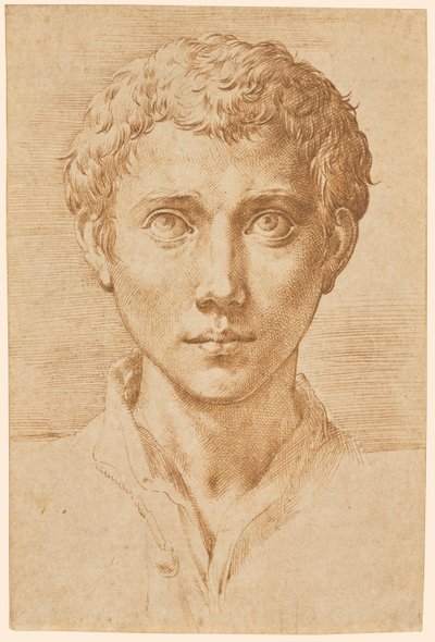 Hlava mladého muže od Parmigianino