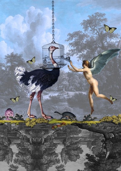 Surrealistický sen o pštrosím andělovi od Pascal Bouchet-Spiegel