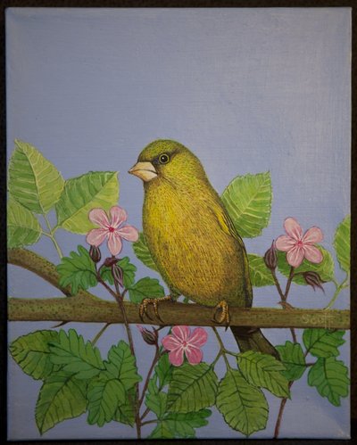 Greenfinch, 2016 od Pat Scott