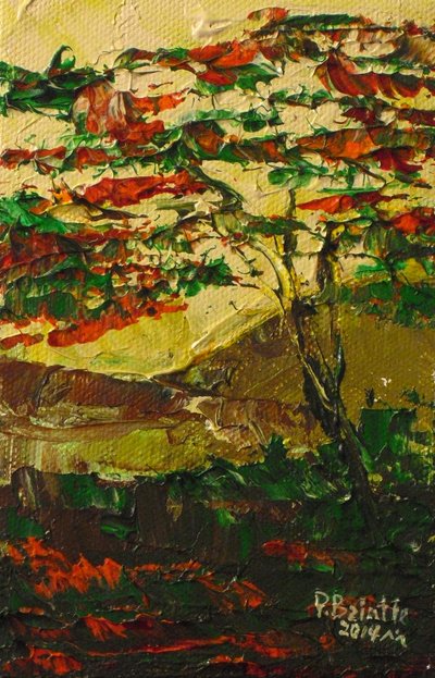 Flamboyant in flower, 2014 (akryl na plátně) od Patricia Brintle