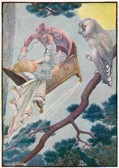 Malý jack rollaround (barva litho) od Patten Wilson