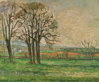 Holé stromy v Jas de Bouffan. 1885-86 od Paul Cézanne