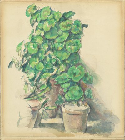 Muškáty od Paul Cézanne
