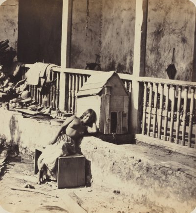Garvelův pes (Martinique) od Paul Emile Miot