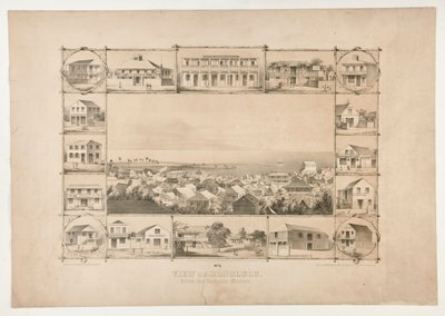 Pohled na Honolulu, z katolického kostela (č. 3) od Paul Emmert